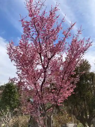常泉寺(神奈川県)