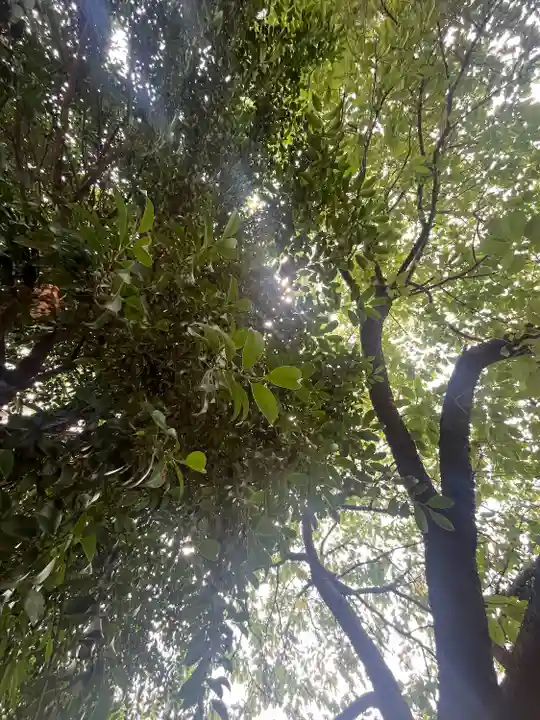 九重神社(埼玉県)