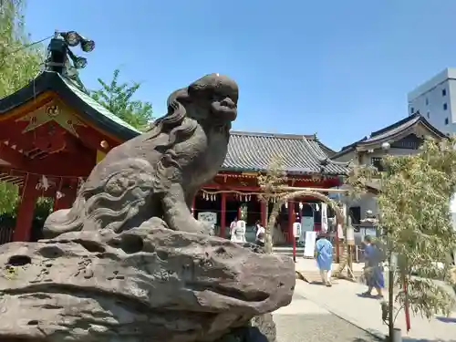 浅草神社の狛犬