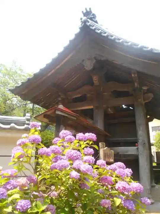 光触寺の山門・神門