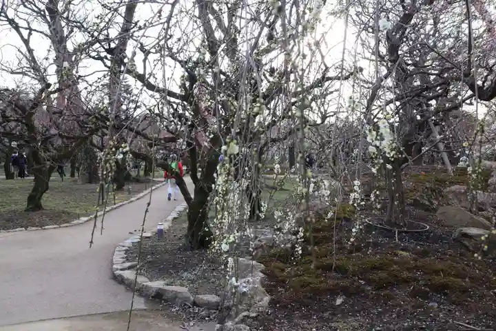 北野天満宮(京都府)