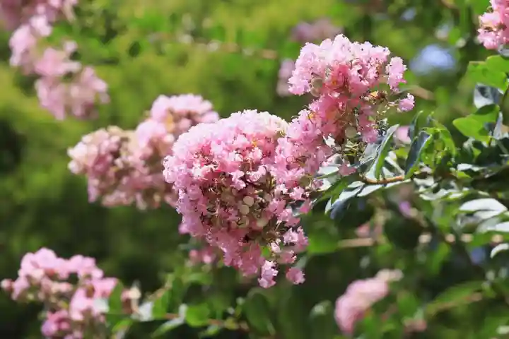 岩船寺(京都府)