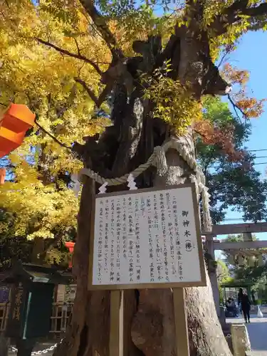 新田神社(東京都)