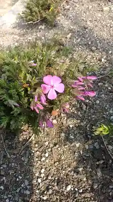 比佐豆知神社(三重県)