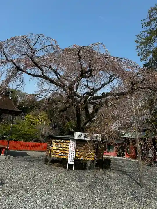 富士山本宮浅間大社の{uncategorized: "未分類", other: "その他", undefined: "問題あり", building: "その他建物", grave: "お墓", sacred_gate: "鳥居", guardian: "狛犬", statue: "像", buddha: "仏像", history: "歴史", nature: "自然", garden: "庭園", animal: "動物", pagoda: "塔", temizu: "手水舎", mountain_gate: "山門・神門", sanctuary: "本殿・本堂", subordinate: "末社・摂社", art: "芸術", scenery: "景色", jizo: "地蔵", ema: "絵馬", goshuin: "御朱印", omikuji: "おみくじ", items: "授与品その他", amulet: "お守り", goshuincho: "御朱印帳", eats: "食事", festival: "お祭り", votive_dance: "神楽", shichigosan: "七五三参", wedding: "結婚式", experience: "体験その他", initially: "初詣", around: "周辺", anti_infection: "感染症対策"}