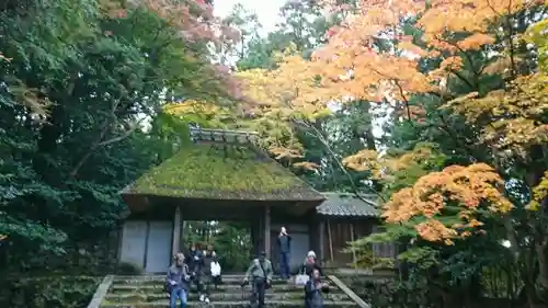 法然院の山門