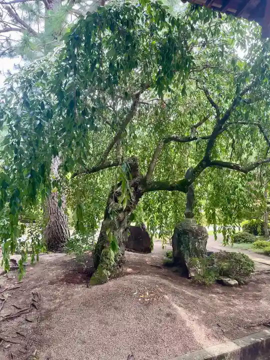 光明寺(宮城県)