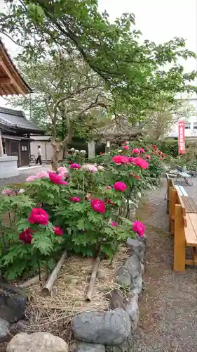 総持寺(滋賀県)