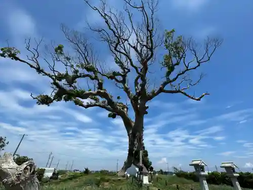 大木神社跡地(三重県)