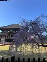 東大寺の{uncategorized: "未分類", other: "その他", undefined: "問題あり", building: "その他建物", grave: "お墓", sacred_gate: "鳥居", guardian: "狛犬", statue: "像", buddha: "仏像", history: "歴史", nature: "自然", garden: "庭園", animal: "動物", pagoda: "塔", temizu: "手水舎", mountain_gate: "山門・神門", sanctuary: "本殿・本堂", subordinate: "末社・摂社", art: "芸術", scenery: "景色", jizo: "地蔵", ema: "絵馬", goshuin: "御朱印", omikuji: "おみくじ", items: "授与品その他", amulet: "お守り", goshuincho: "御朱印帳", eats: "食事", festival: "お祭り", votive_dance: "神楽", shichigosan: "七五三参", wedding: "結婚式", experience: "体験その他", initially: "初詣", around: "周辺", anti_infection: "感染症対策"}