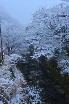 茶湯寺(神奈川県)