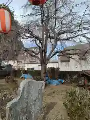 稲荷神社(埼玉県)