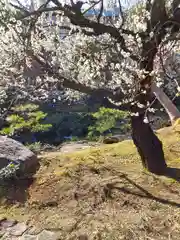 湯島天満宮(東京都)