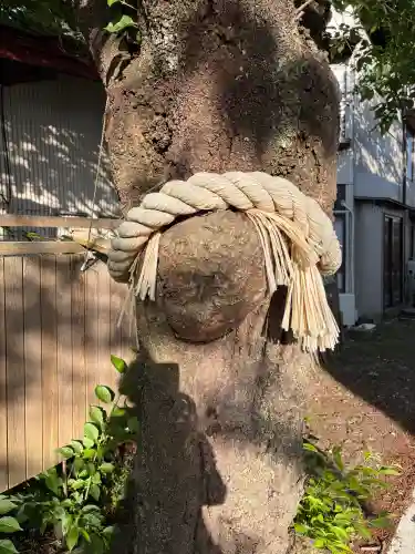 小室浅間神社(山梨県)