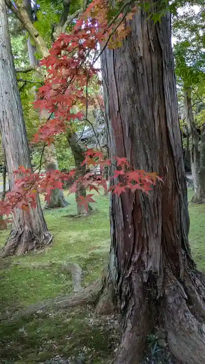 真正極楽寺(真如堂)(京都府)