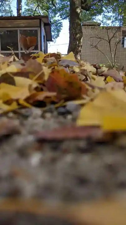 白山神社の自然