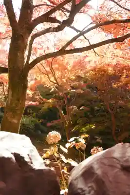 東福禅寺(東福寺)(京都府)