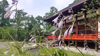 北野天満宮のその他建物