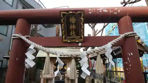 椿神社の鳥居
