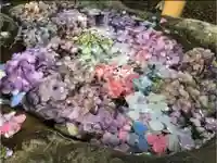 馬場氷川神社の手水舎