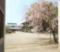 温泉山 安楽寺(四国霊場第六番札所)の自然