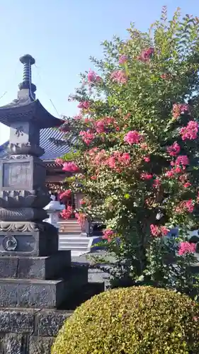 持宝院のその他建物