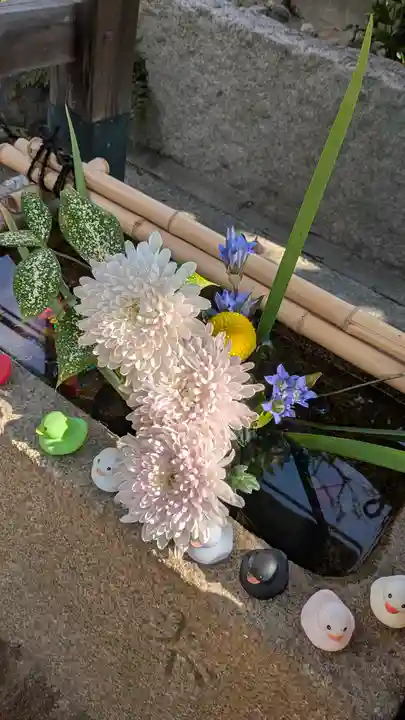 香雪院(京都府)