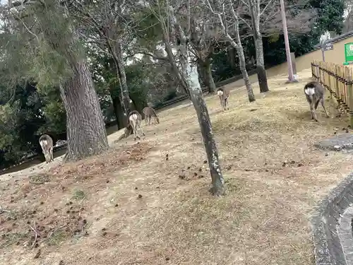 東大寺戒壇院戒壇堂(奈良県)