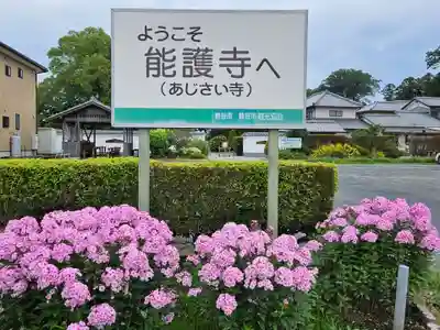 能護寺(埼玉県)