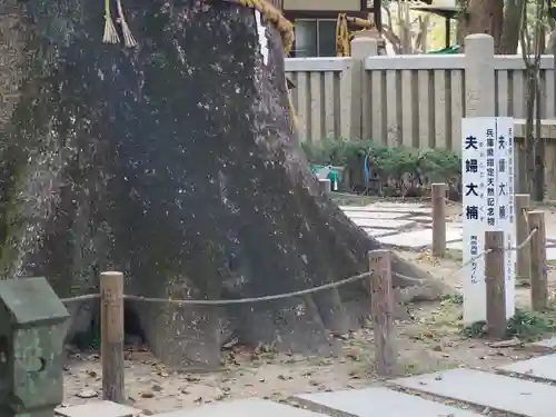 伊弉諾神宮の自然