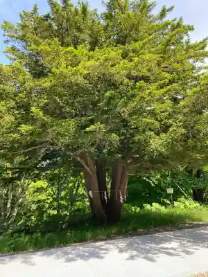 釧路神社の自然