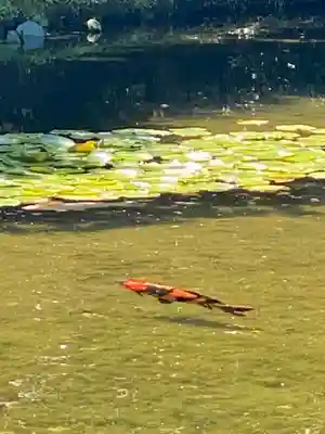 城南宮(京都府)