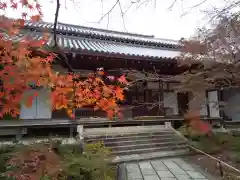 常寂光寺(京都府)