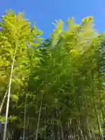 天台宗 長窪山 正覚寺(神奈川県)