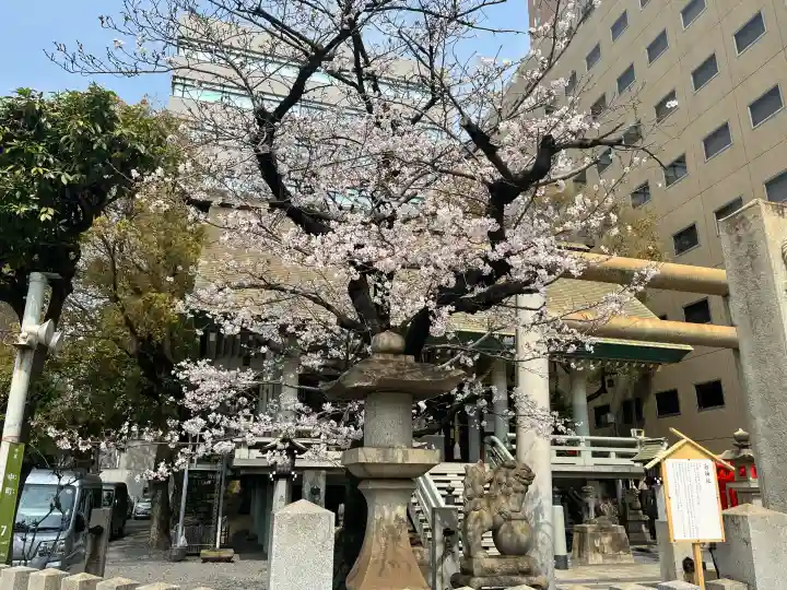 白神社の{uncategorized: "未分類", other: "その他", undefined: "問題あり", building: "その他建物", grave: "お墓", sacred_gate: "鳥居", guardian: "狛犬", statue: "像", buddha: "仏像", history: "歴史", nature: "自然", garden: "庭園", animal: "動物", pagoda: "塔", temizu: "手水舎", mountain_gate: "山門・神門", sanctuary: "本殿・本堂", subordinate: "末社・摂社", art: "芸術", scenery: "景色", jizo: "地蔵", ema: "絵馬", goshuin: "御朱印", omikuji: "おみくじ", items: "授与品その他", amulet: "お守り", goshuincho: "御朱印帳", eats: "食事", festival: "お祭り", votive_dance: "神楽", shichigosan: "七五三参", wedding: "結婚式", experience: "体験その他", initially: "初詣", around: "周辺", anti_infection: "感染症対策"}