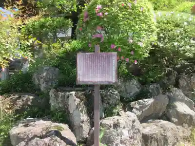 徳雲寺(埼玉県)