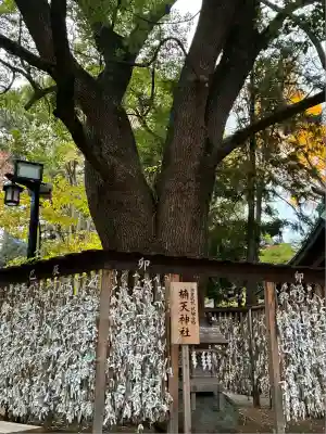 平塚八幡宮(神奈川県)