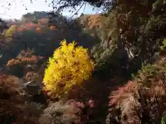 行道山 浄因寺(栃木県)