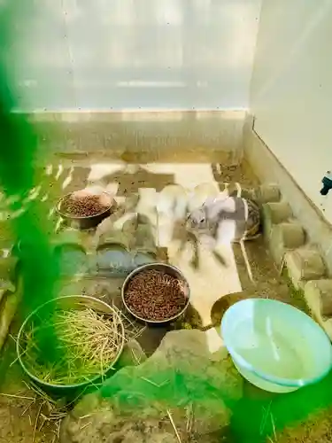 持地院(山形県)