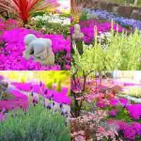 寿量山 速成寺の自然