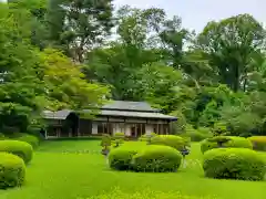 明治神宮(東京都)