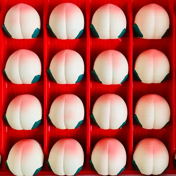 土津神社|こどもと出世の神さまのおみくじ