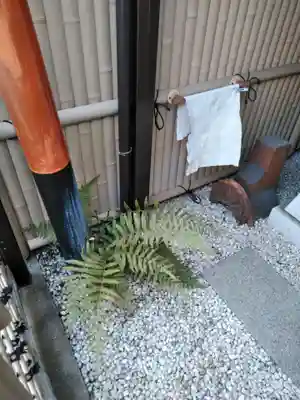 稲荷神社(京都府)