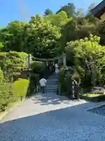 狭井坐大神荒魂神社(狭井神社)(奈良県)
