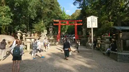春日大社の{uncategorized: "未分類", other: "その他", undefined: "問題あり", building: "その他建物", grave: "お墓", sacred_gate: "鳥居", guardian: "狛犬", statue: "像", buddha: "仏像", history: "歴史", nature: "自然", garden: "庭園", animal: "動物", pagoda: "塔", temizu: "手水舎", mountain_gate: "山門・神門", sanctuary: "本殿・本堂", subordinate: "末社・摂社", art: "芸術", scenery: "景色", jizo: "地蔵", ema: "絵馬", goshuin: "御朱印", omikuji: "おみくじ", items: "授与品その他", amulet: "お守り", goshuincho: "御朱印帳", eats: "食事", festival: "お祭り", votive_dance: "神楽", shichigosan: "七五三参", wedding: "結婚式", experience: "体験その他", initially: "初詣", around: "周辺", anti_infection: "感染症対策"}