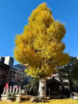 福王山  慈眼寺(東京都)