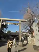 浅草神社の鳥居