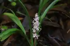 大六天麻王神社の庭園