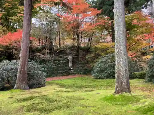 三千院門跡(京都府)