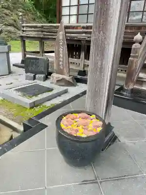 法恩寺(埼玉県)